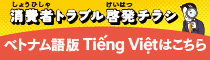 ベトナム語版（Tiếng Việt）