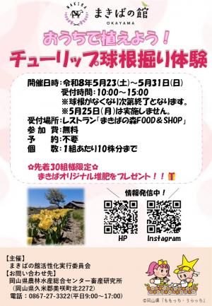 チューリップ