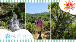 森林公園