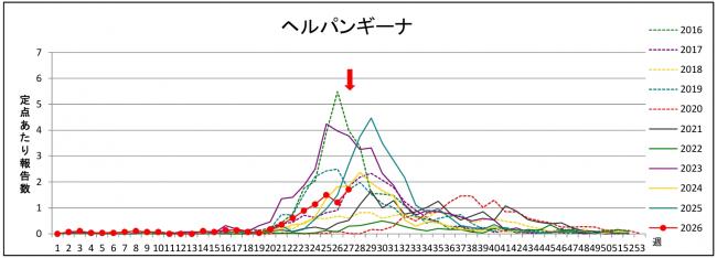 ヘルパングラフ