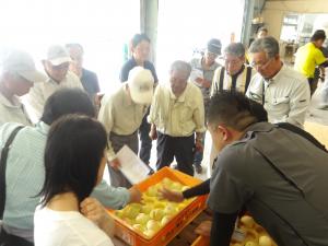 【選果員の説明を熱心に聞く生産者】