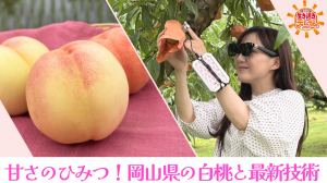 サムネ