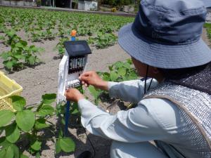 水分センサー設置の様子を撮影した写真です