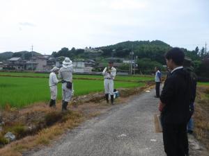 生育状況を視察する参加者