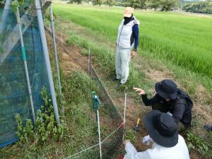 設置した複合電気柵の説明を受ける生産者
