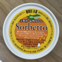 温州みかん