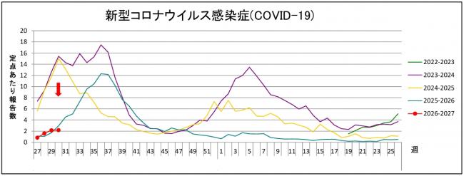 新コログラフ