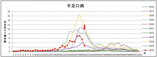 手足口病グラフ