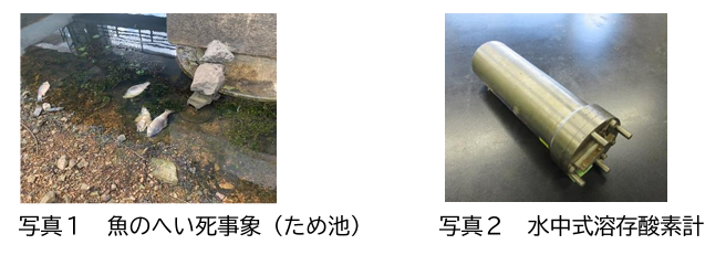 各写真