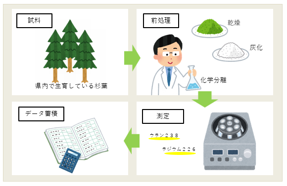 試料採取から測定まで
