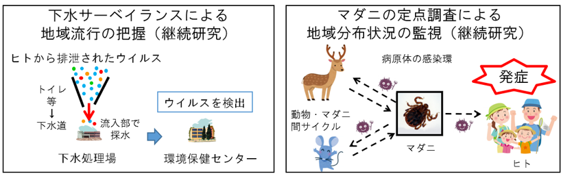 研究概要