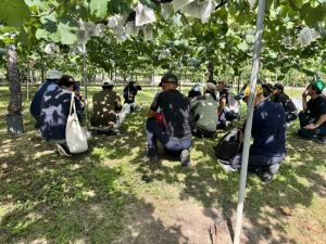 視察の様子を撮影した写真です