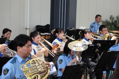 音楽派遣画像