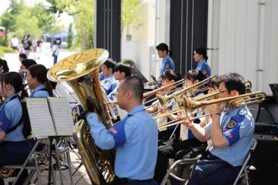 音楽派遣画像