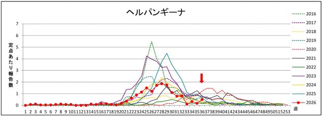ヘルパングラフ