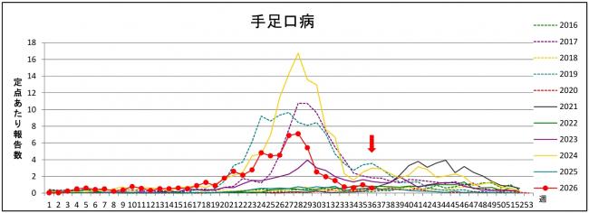 手足口病グラフ