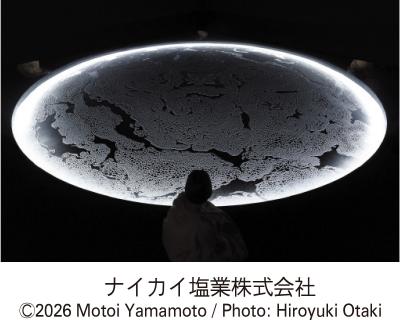 ナイカイ塩業アート写真