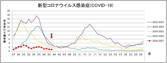 新コログラフ