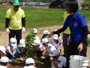 熱心に苗木の植え付けを行う児童
