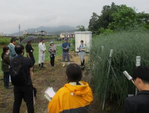 アスパラガス産地での見学
