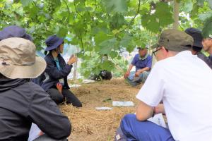 熱心に袋掛けについて学ぶ生産者ら