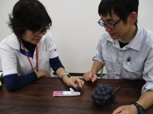 JAぶどう担当者との酸度測定