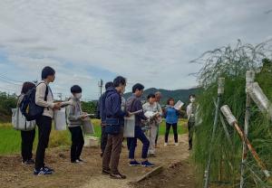アスパラガス産地での見学