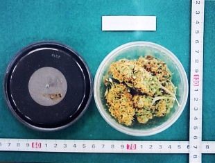 大麻画像３