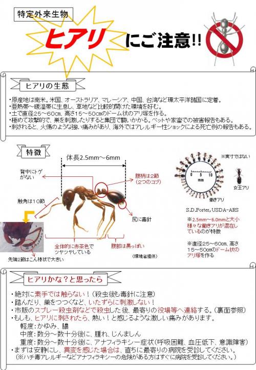 ヒアリにご注意！