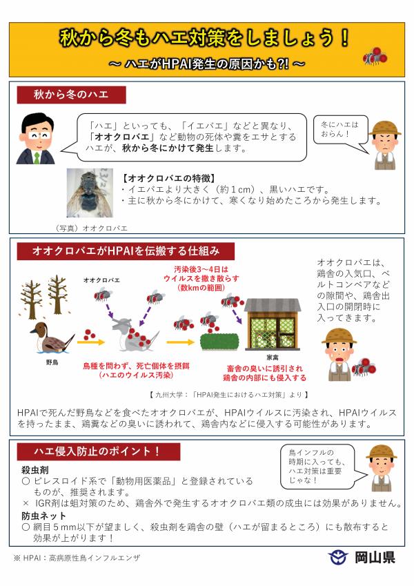 秋から冬もハエ対策をしましょう！