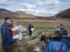 見学会の様子（白ねぎほ場）