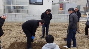 ごぼうを抜き取る様子