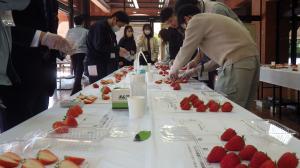 いちごを審査する様子