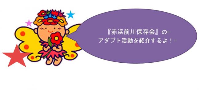 活動紹介
