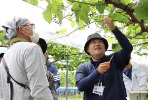 花穂整形を実演指導