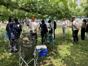 きゅうり及びぶどうの産地で説明を聞く参加者