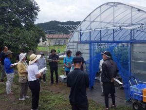 農業研修生のトマトハウスを訪問し、状況を聞き取りアドバイスしている写真