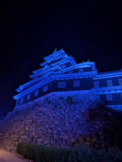令和7年岡山城