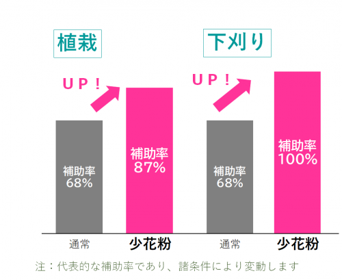 支援策