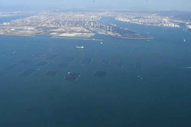 ノリ養殖施設（写真）