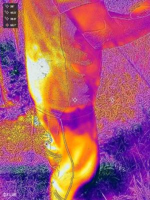 サーモカメラ画像：背中39℃