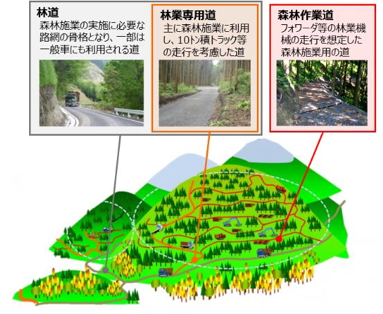 路網の分類