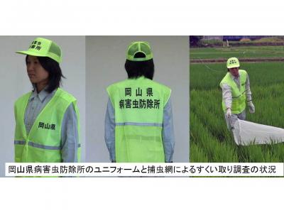 岡山県病害虫防除所のユニホームと捕虫網によるすくい取り調査