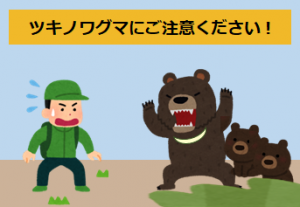 ツキノワグマ画像