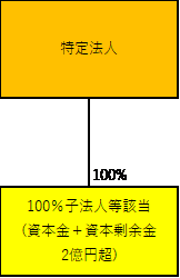 １００％子法人（１）