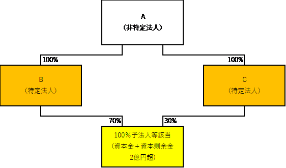 １００％子法人（２）