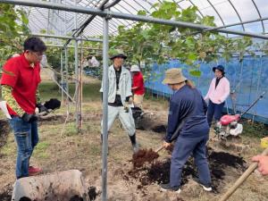 若木で土づくりを行っている様子