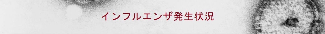 インフルエンザ発生状況