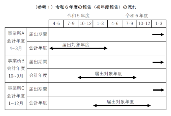 令和６年度（初年度報告）の流れ