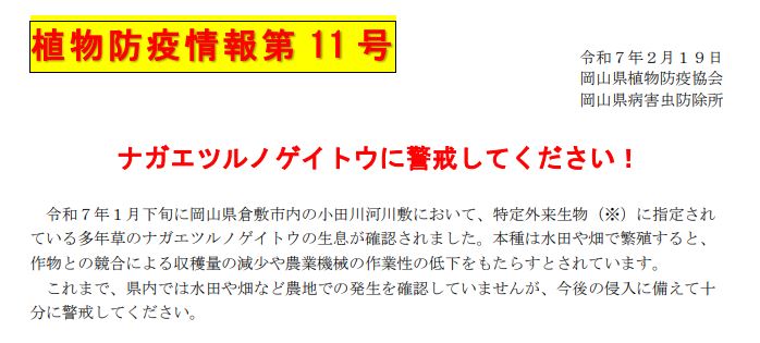 植物防疫情報第11号